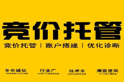 SEM代理助力品牌：案例解析，优化策略全揭秘